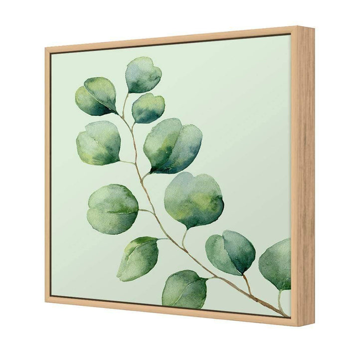 Eucalyptus Solo, Green (Square) Wall Art