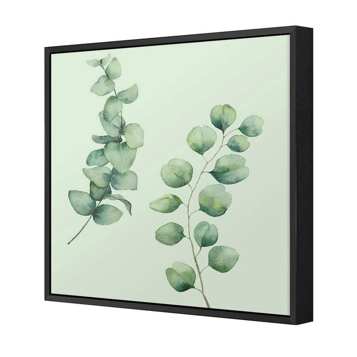 Eucalyptus Duo, Green (Square) Wall Art
