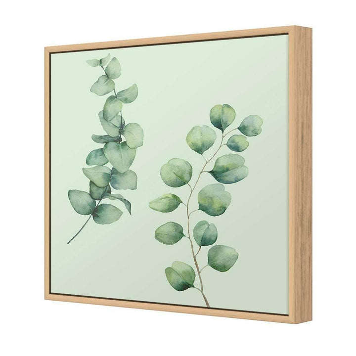 Eucalyptus Duo, Green (Square) Wall Art