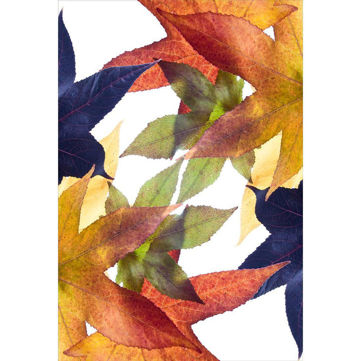 Leaf Kaleidoscope Wall Art