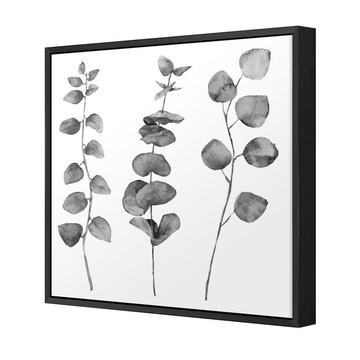 Fragrant Herb Trio, Black and White (Square) Wall Art