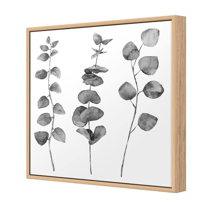 Fragrant Herb Trio, Black and White (Square) Wall Art