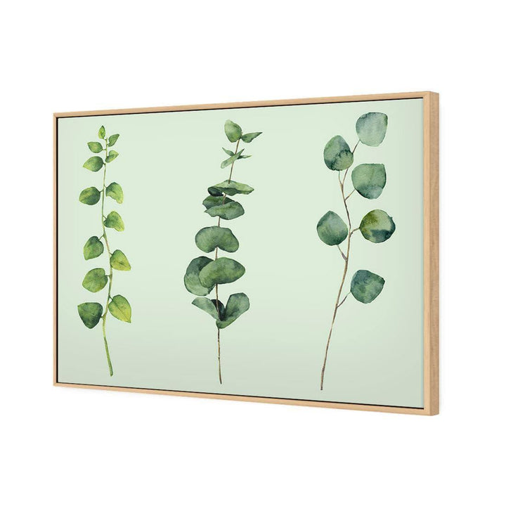 Fragrant Herb Trio, Green Wall Art