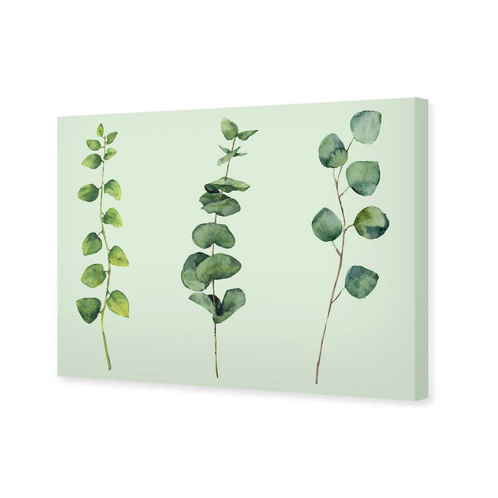 Fragrant Herb Trio, Green Wall Art