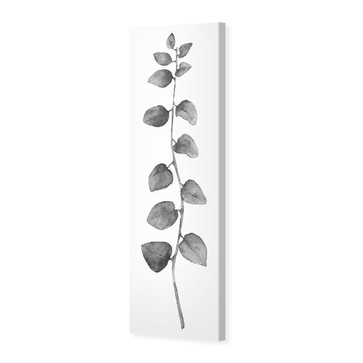 Fragrant Herb 1, Black and White (Long) Wall Art