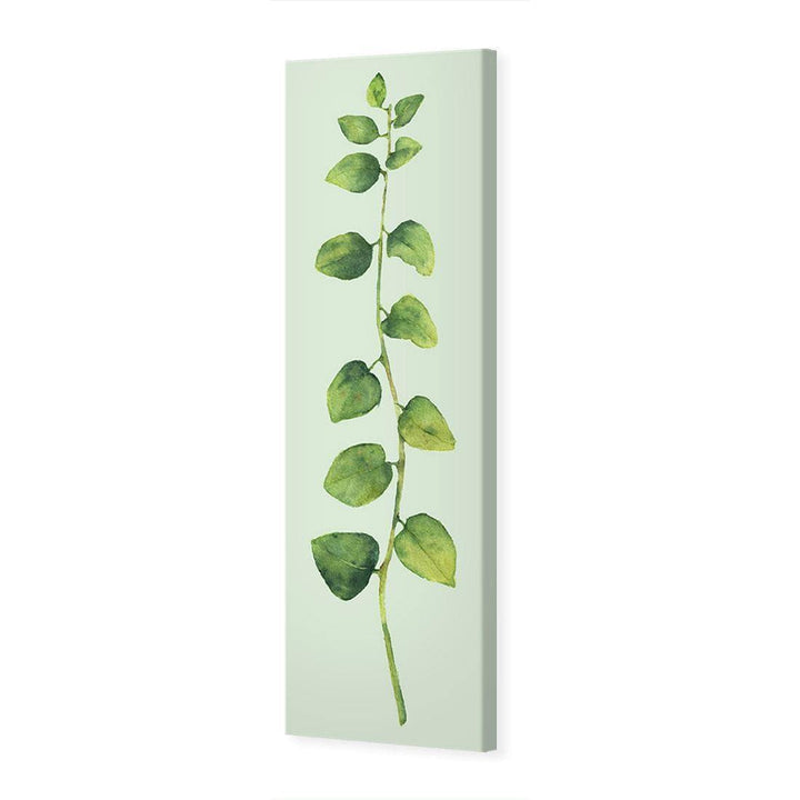 Fragrant Herb 1, Green (Long) Wall Art