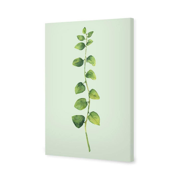 Fragrant Herb 1, Green Wall Art