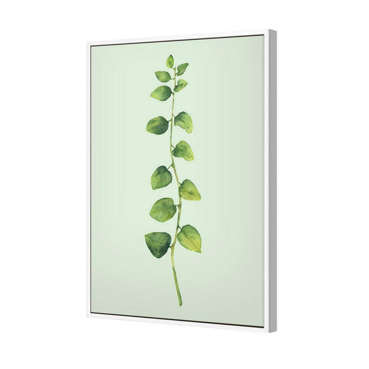 Fragrant Herb 1, Green Wall Art