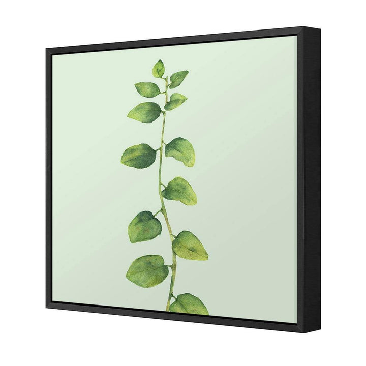 Fragrant Herb 1, Green (Square) Wall Art