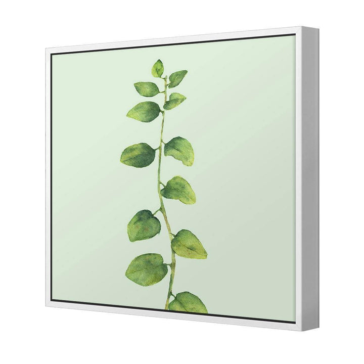 Fragrant Herb 1, Green (Square) Wall Art