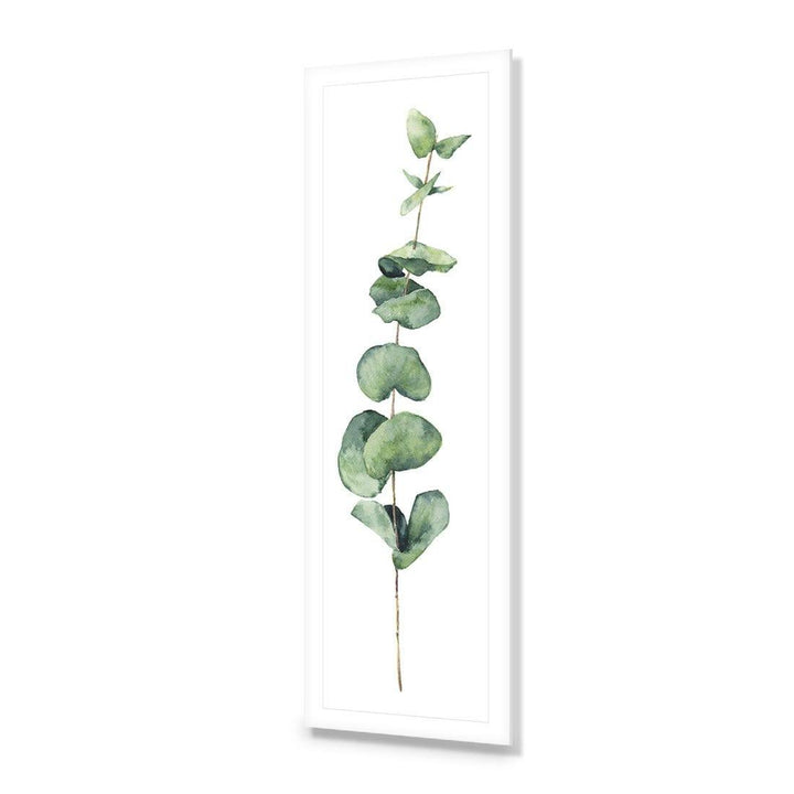 Fragrant Herb 2 (Long) Wall Art