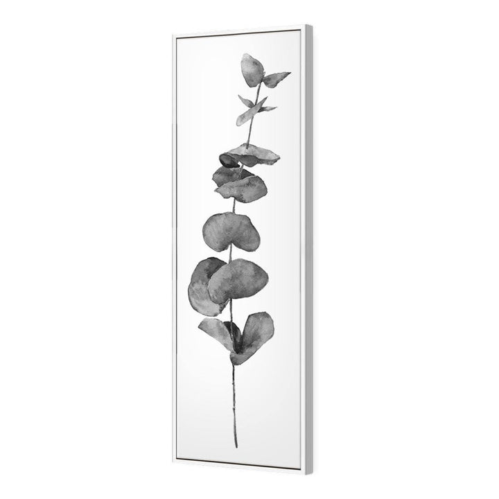 Fragrant Herb 2, Black and White (Long) Wall Art