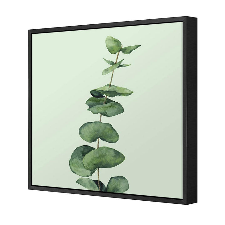 Fragrant Herb 2, Green (Square) Wall Art
