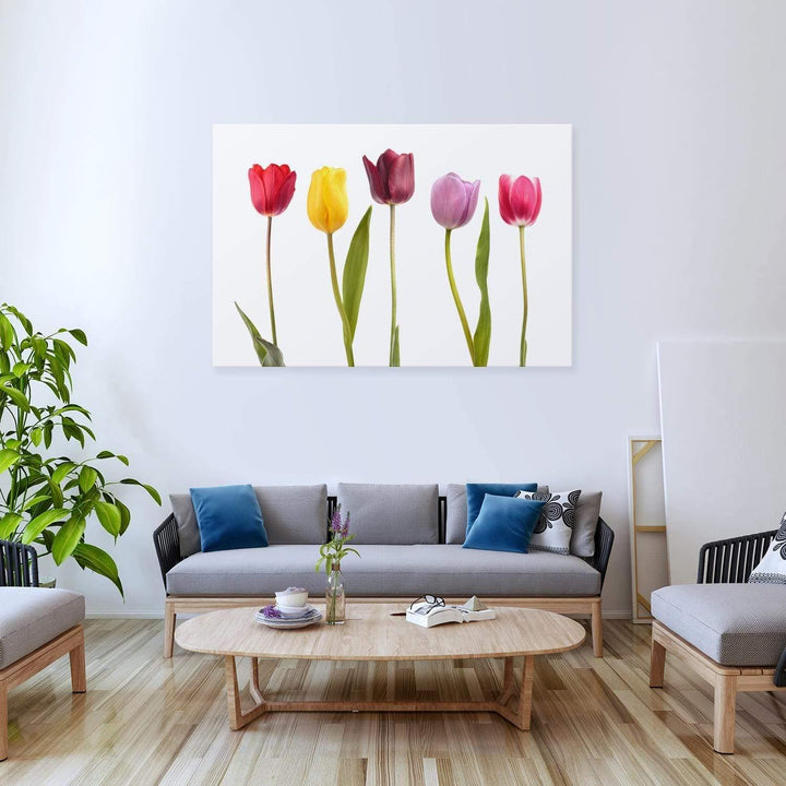 Tulip Delight Wall Art