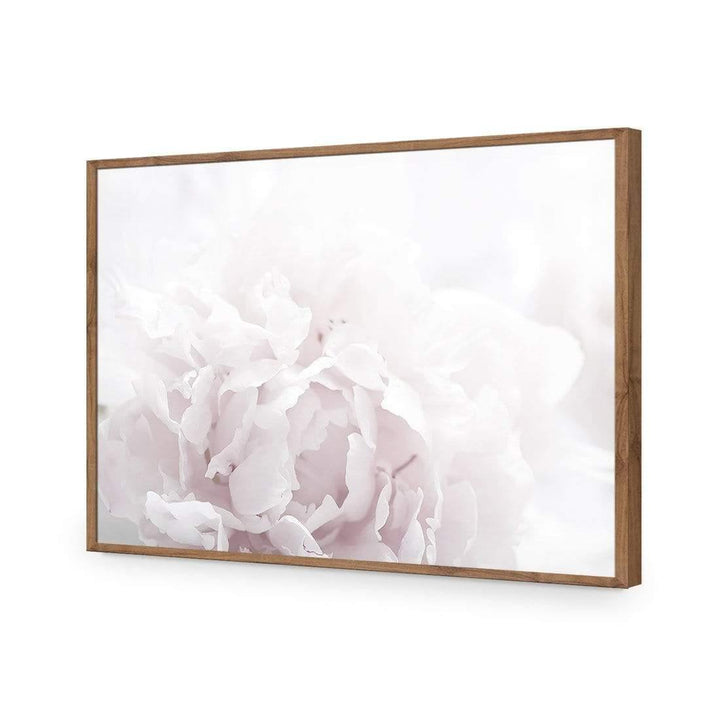 Delicate Pink Peony Soft Wall Art
