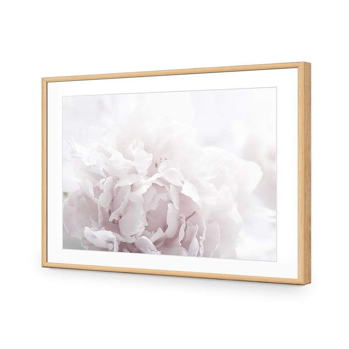 Delicate Pink Peony Soft Wall Art