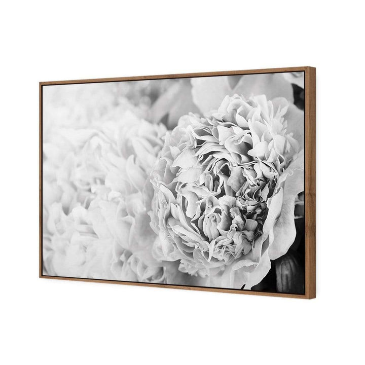 Focus On Peony Black and White Wall Art
