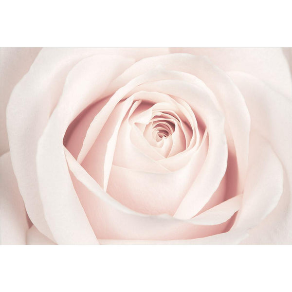 The Perfect Rose, Pink Wall Art