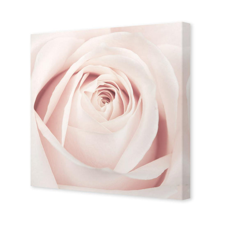 The Perfect Rose, Pink (Square) Wall Art