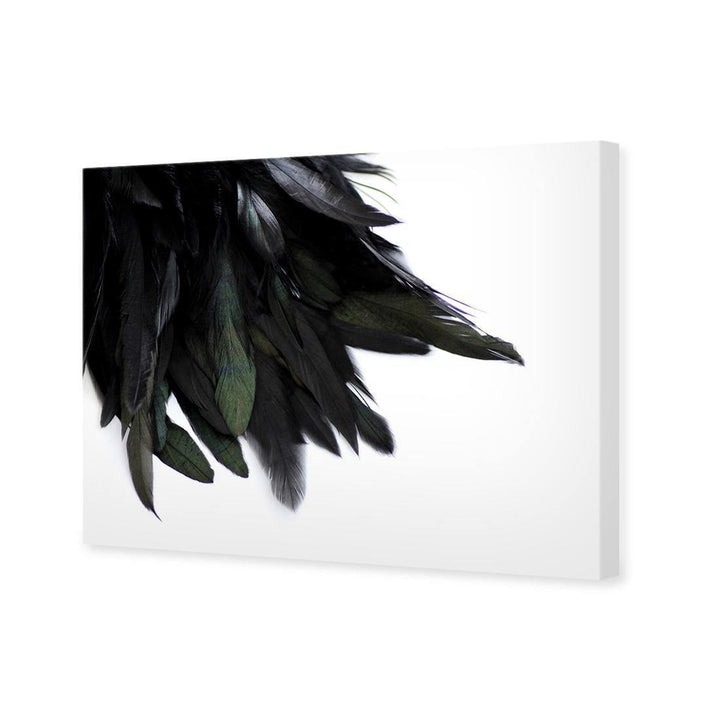 Black Feather Tail Wall Art