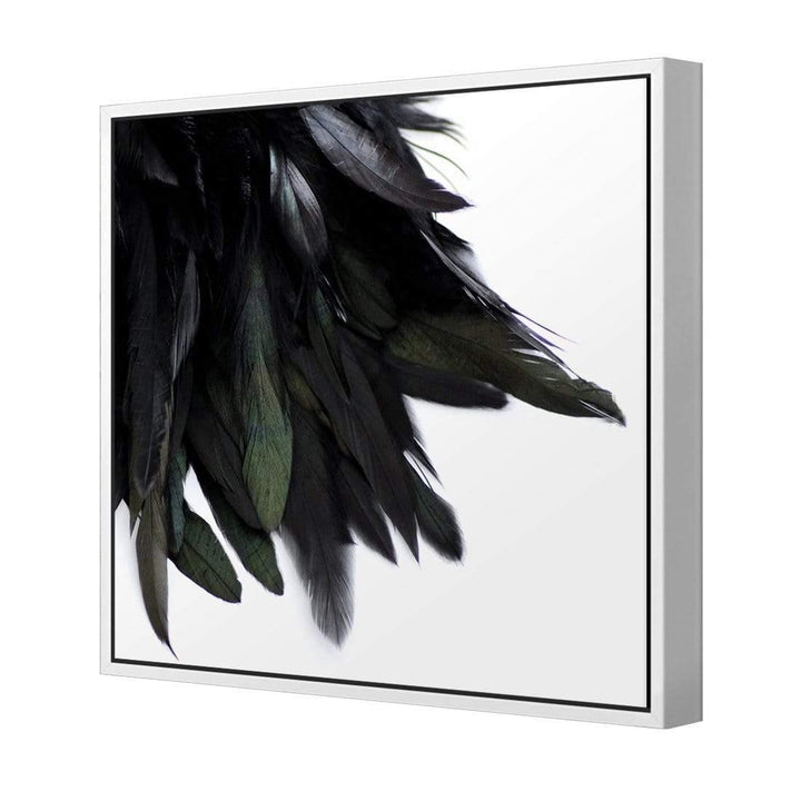 Black Feather Tail (Square) Wall Art