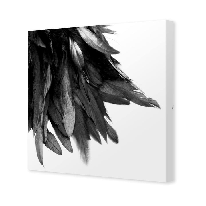 Black Feather Tail, Black and White (Square) Wall Art