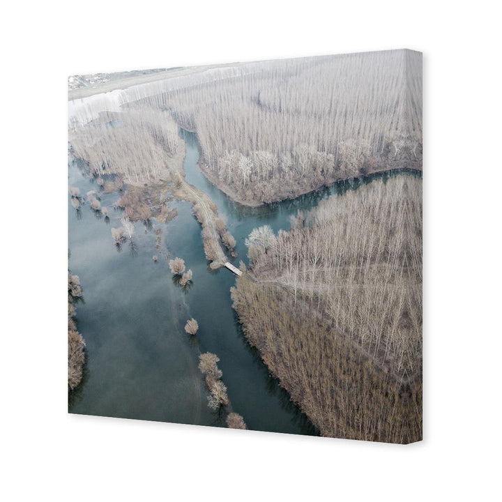 Frozen Tree Forest, Vintage (Square) Wall Art