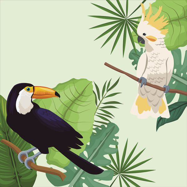 Cockatoo and Toucan Stand Off