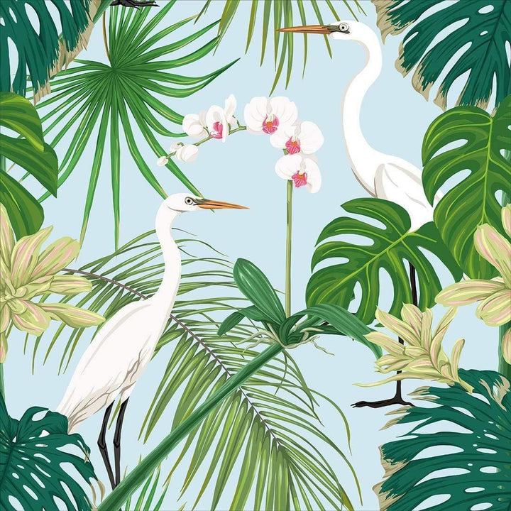 Tropical Orchids 1 Wall Art