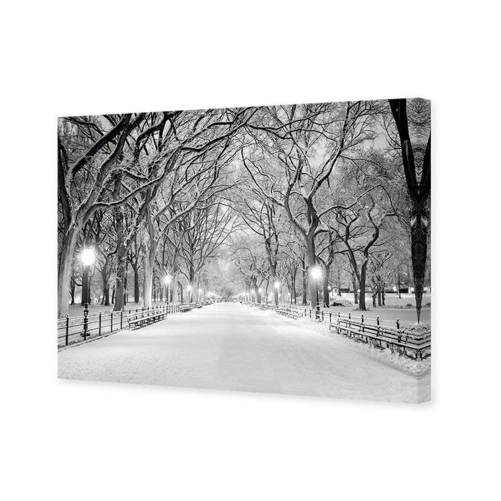 Central Park Dawn in Snow Wall Art