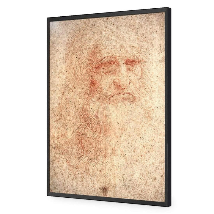 Renaissance Man By Leonardo Da Vinci Wall Art