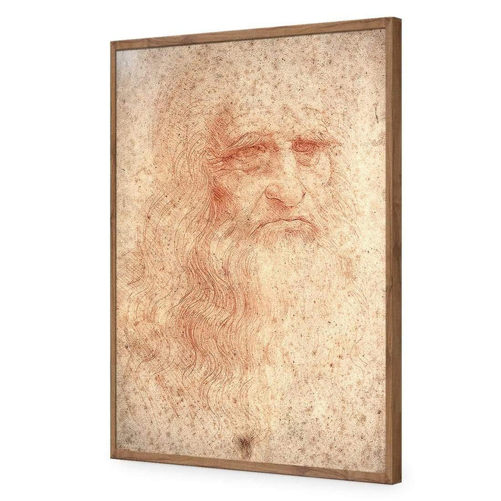 Renaissance Man By Leonardo Da Vinci Wall Art