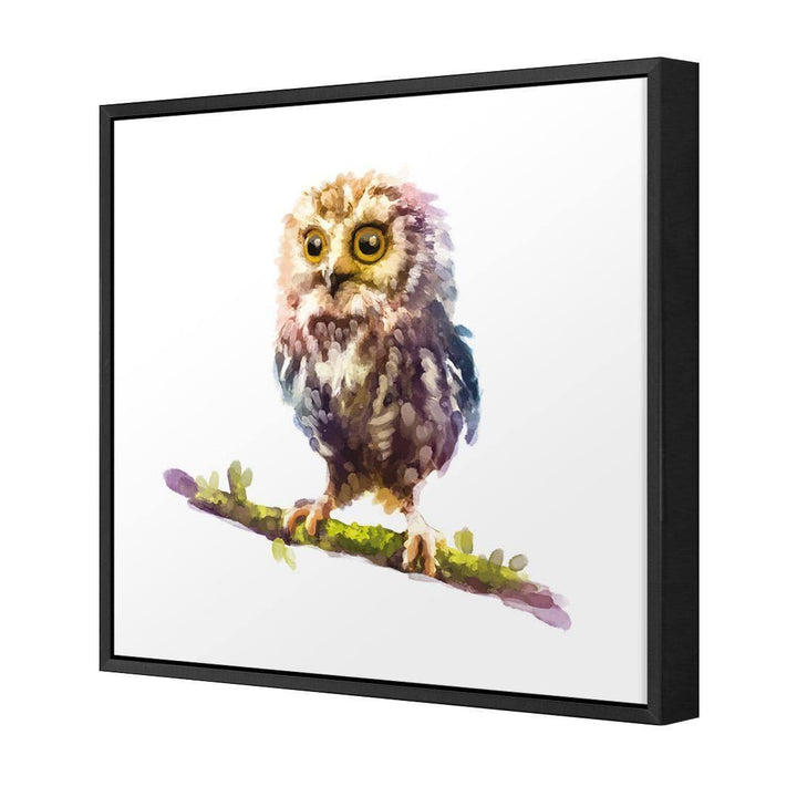 Watercolour Owl Wall Art