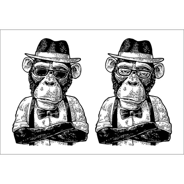 Hipster Chimps