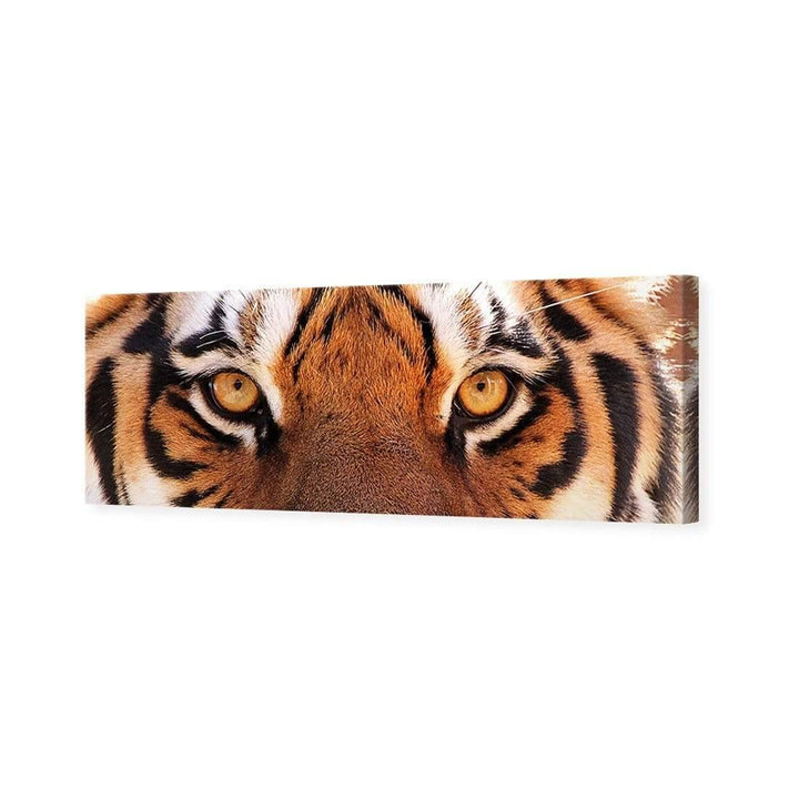 Tiger Eyes, Original Wall Art