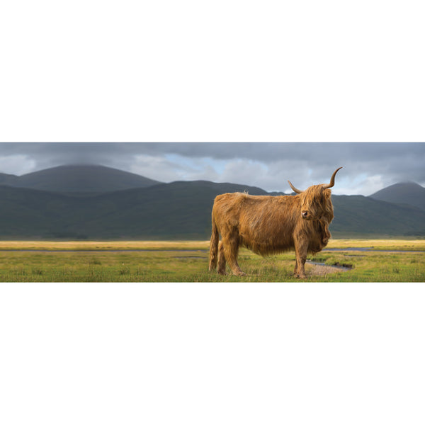 Scottish Highland View