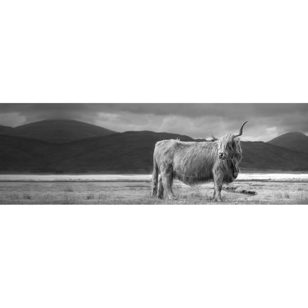 Scottish Highland View, Black & White