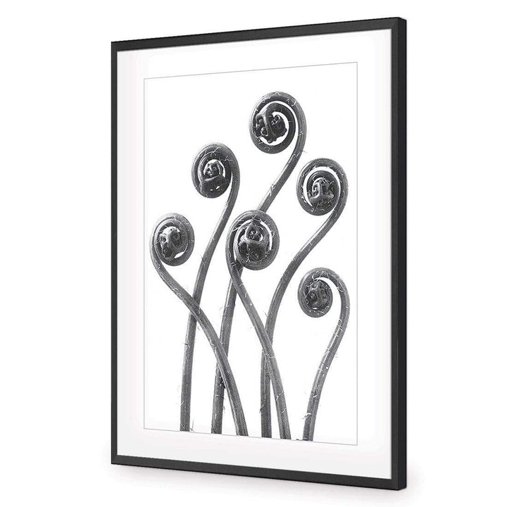 Adiantium Fern Fronds by Karl Blossfeldt Wall Art