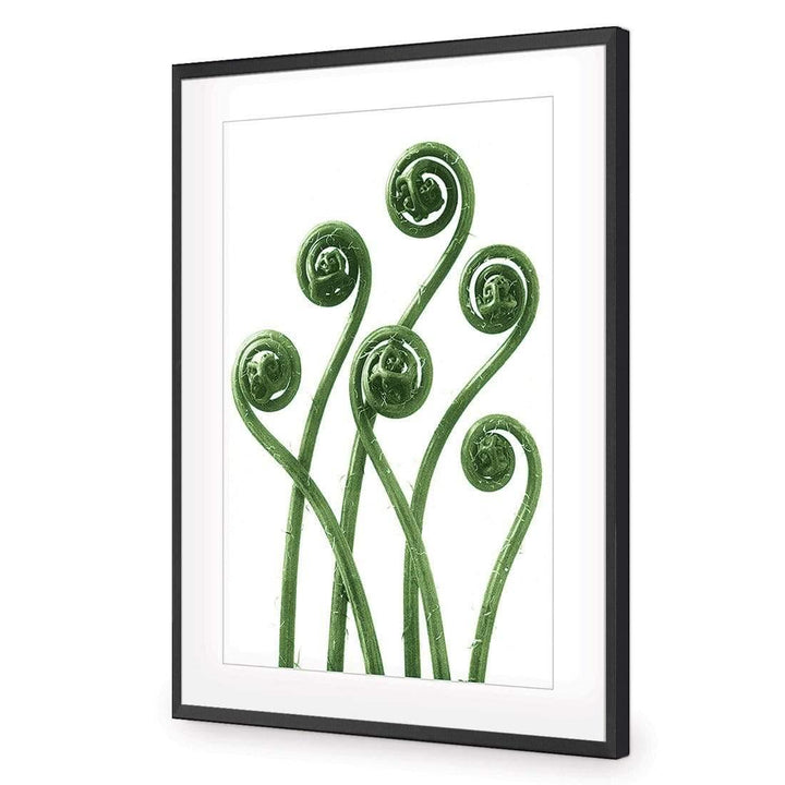 Adiantium Fern Fronds Green by Karl Blossfeldt Wall Art