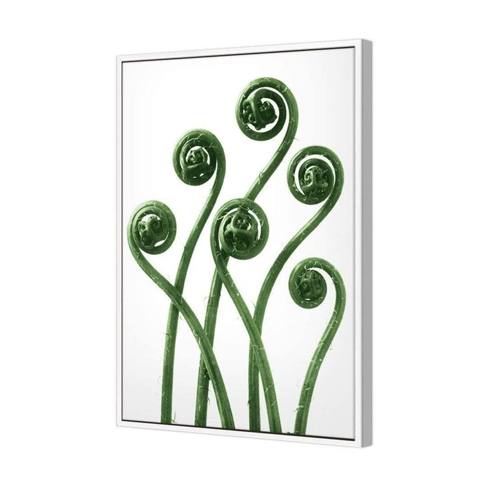 Adiantium Fern Fronds Green by Karl Blossfeldt Wall Art