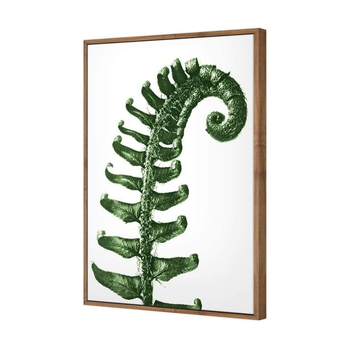 Prickly Shield–Fern Leaf Green by Karl Blossfeldt Wall Art