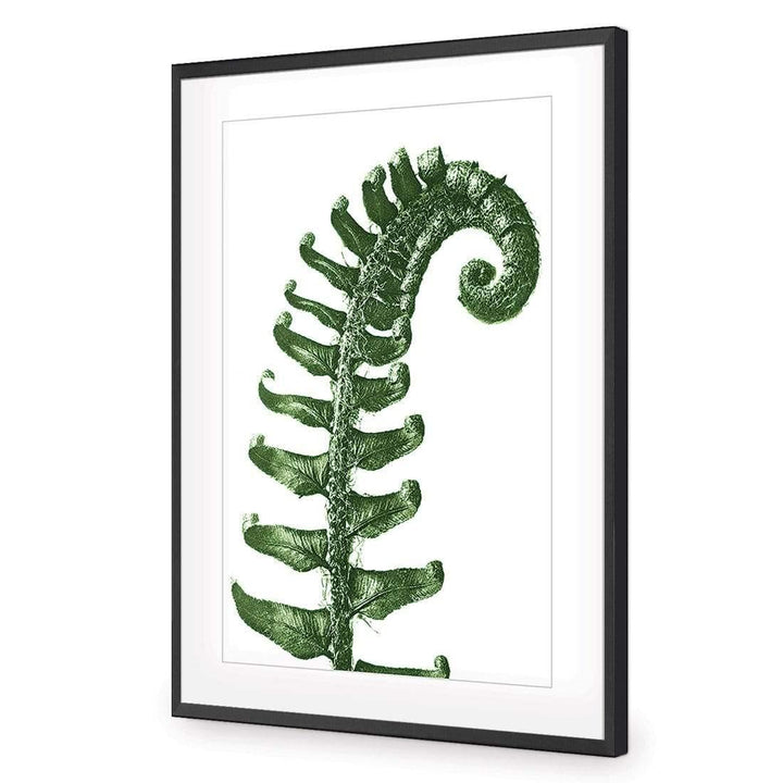 Prickly Shield–Fern Leaf Green by Karl Blossfeldt Wall Art