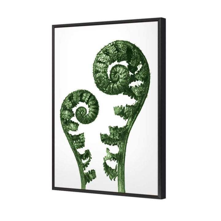 Shield Fern Fronds Green by Karl Blossfeldt Wall Art