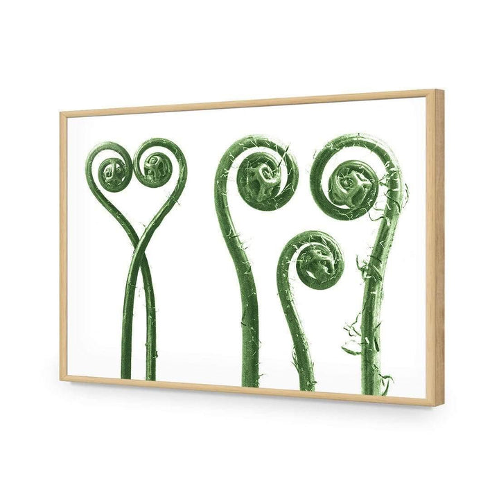 Ferns Entwined Green by Karl Blossfeldt Wall Art