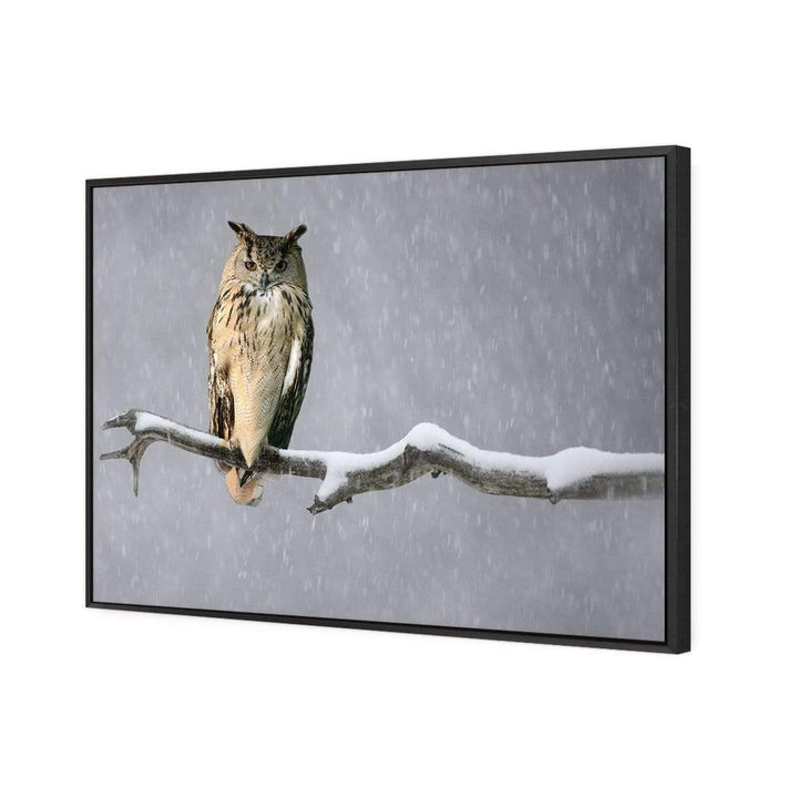 Eurasian Eagle Owl Wall Art