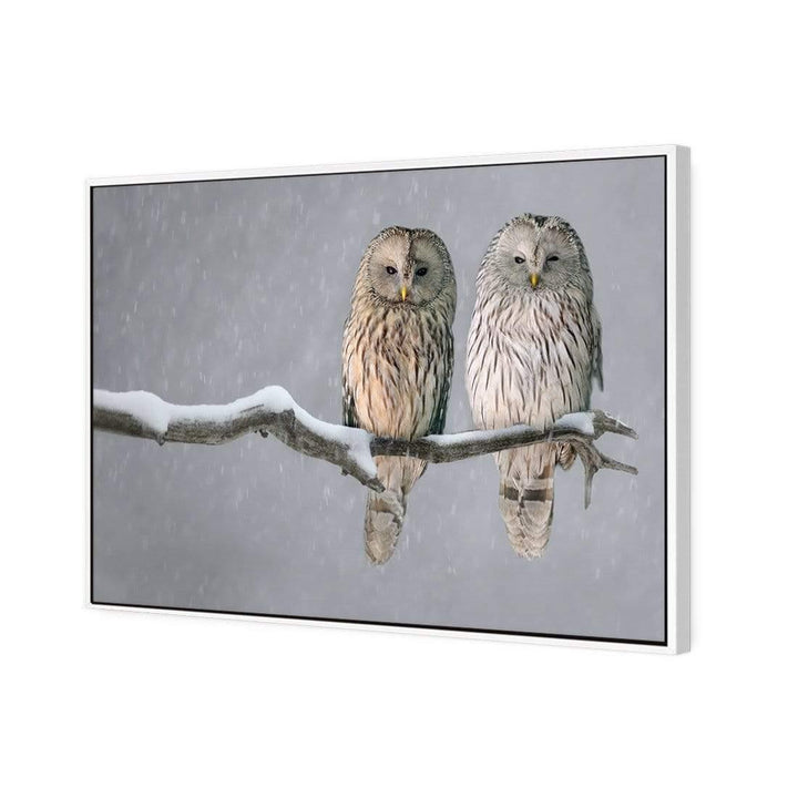 Ural Owl Pair Wall Art