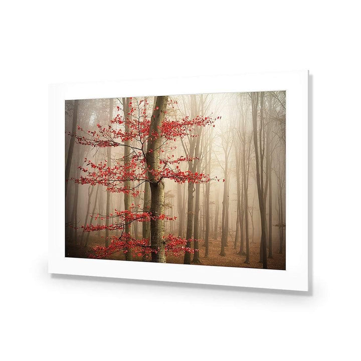 Leaves of Fire Wall Art