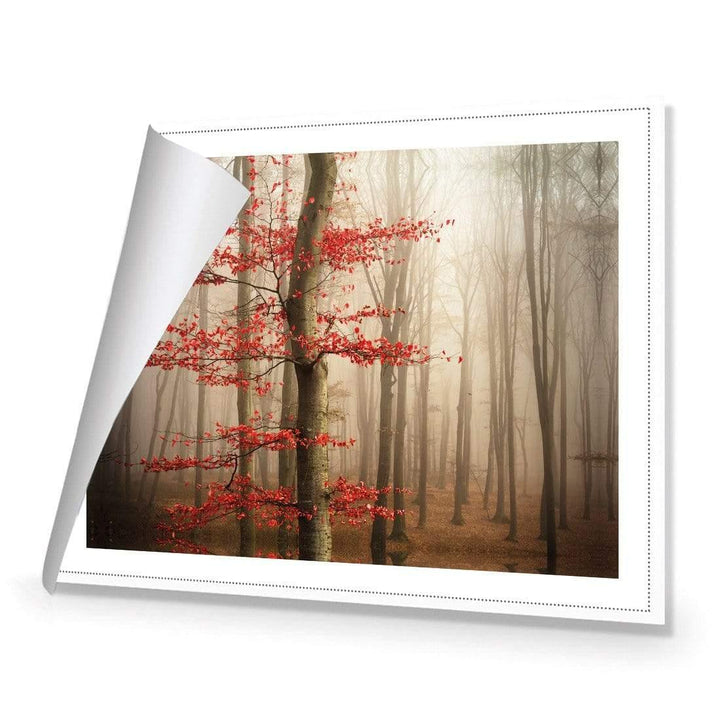 Leaves of Fire Wall Art