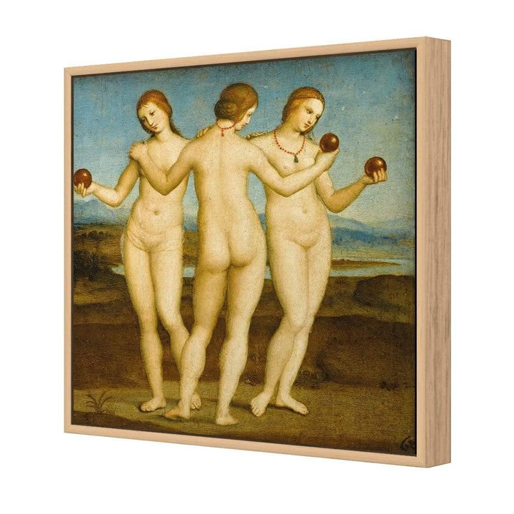 The Three Graces by Raphael Wall Art