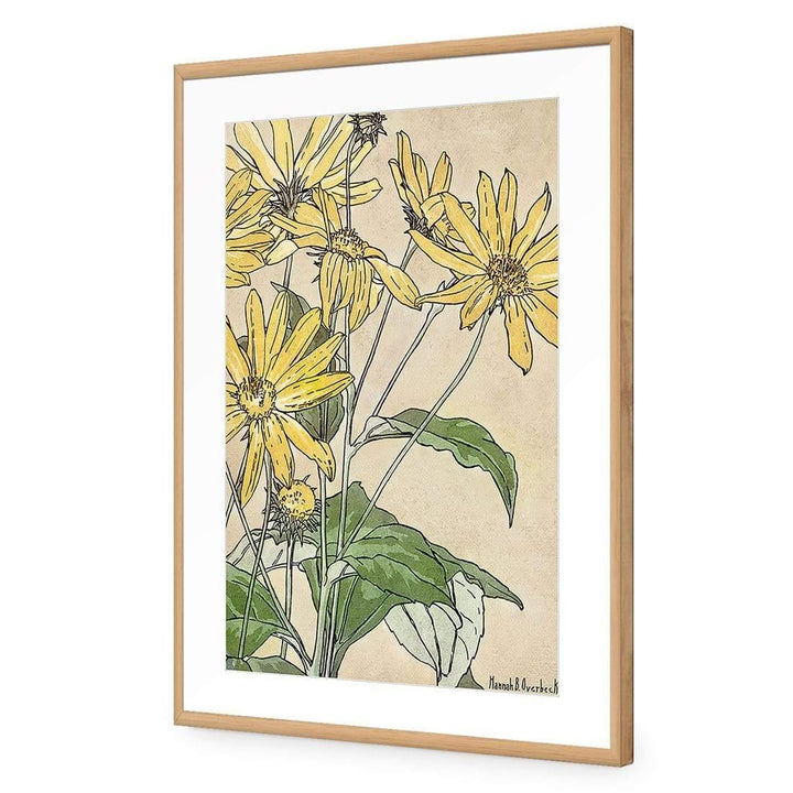 Sunflowers by Hannah Borger Overbeck Wall Art